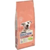 Purina Dog Chow Chien Sensitive Saumon 14 Kg 1 Purina Dog Chow Chien Sensitive Saumon 14 Kg -Toutouly Soldes Magasin 07613034488244 c1l1 dog chow adult sensitive salmon 14kg 43841552