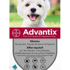 Advantix Petit Chien (4-10 Kg) - 6 Pipettes