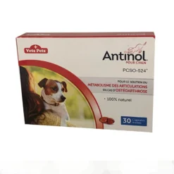 Antinol Pour Chien 30 Capsules