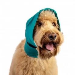 Bandage Oreille No Flap Pour Chien XL