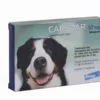 Capstar 57 Mg Pour Chien -Toutouly Soldes Magasin capstar 57 mg pour chien