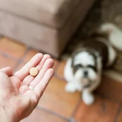 Drontal Chien 6 Cps 6 Drontal Chien 6 Cps -Toutouly Soldes Magasin drontal 1 2