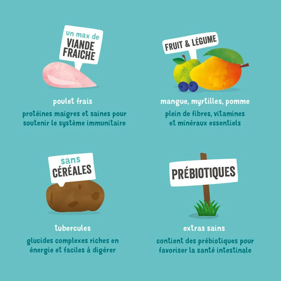 Edgard & Cooper Sans Céréales Au Poulet Frais Chien Adulte 2,5 Kg 7 Edgard & Cooper Sans Céréales Au Poulet Frais Chien Adulte 2,5 Kg – Image 5