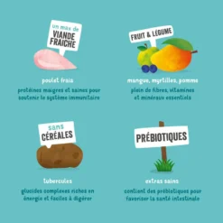 Edgard & Cooper Sans Céréales Poulet Frais Chien Adulte 7 Kg 13 Edgard & Cooper Sans Céréales Poulet Frais Chien Adulte 7 Kg -Toutouly Soldes Magasin edgard cooper croquettes au poulet4 2