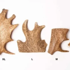 Evident Bois De Daim XL 5 Evident Bois De Daim XL -Toutouly Soldes Magasin evident bois de daim xl2