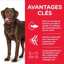 Hill's Science Plan Hill's Science Plan Canine Adult Healthy Mobility Large Breed Poulet 14 Kg -Toutouly Soldes Magasin hill s science plan canine adult healthy mobility large breed poulet 14 kg2
