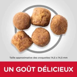 Hill's Science Plan Hill's Science Plan Canine Adult Healthy Mobility Large Breed Poulet 14 Kg -Toutouly Soldes Magasin hill s science plan canine adult healthy mobility large breed poulet 14 kg3