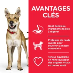 Toutouly Soldes Magasin -Toutouly Soldes Magasin hill s science plan canine adult performance poulet 14 kg2