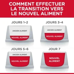 Hill's Science Plan Hill's Science Plan Canine Adult Performance Poulet 14 Kg -Toutouly Soldes Magasin hill s science plan canine adult performance poulet 14 kg4