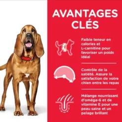 Hill's Science Plan Hill's Science Plan Canine Mature Adult 7+ Light Medium Poulet 14 Kg -Toutouly Soldes Magasin hill s science plan canine mature adult 7 light medium poulet 14 kg3
