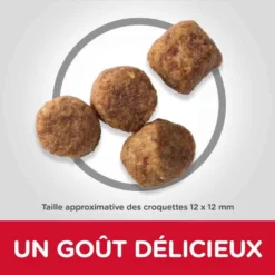 Hill's Science Plan Hill's Science Plan Canine Mature Adult 7+ Light Medium Poulet 14 Kg -Toutouly Soldes Magasin hill s science plan canine mature adult 7 light medium poulet 14 kg4