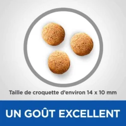 Hill's Science Plan VetEssentials Canine Adult Mini Dental Health 2 Kg -Toutouly Soldes Magasin hill s vetessentials canine adult mini2