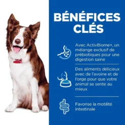 Hill's Science Plan Hill's Science Plan Canine Adult Perfect Digestion Medium 2.5 Kg 9 Hill's Science Plan Hill's Science Plan Canine Adult Perfect Digestion Medium 2.5 Kg -Toutouly Soldes Magasin hill s science plan canine adult perfect digestion medium 3