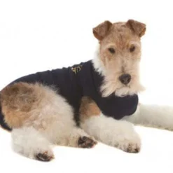 Medical Pet Shirt Chien S Plus