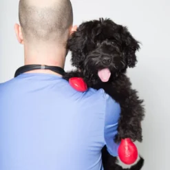 Pawz Bottes Noires S -Toutouly Soldes Magasin pawz bottes rouges s la compagnie des animaux 5 2