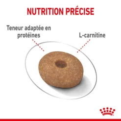 Royal Canin Canine Care Nutrition Mini Light Weight Care 1 Kg -Toutouly Soldes Magasin royal canin canine care nutrition mini light weight care2