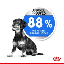 Royal Canin Canine Care Nutrition Mini Light Weight Care 1 Kg -Toutouly Soldes Magasin royal canin canine care nutrition mini light weight care3