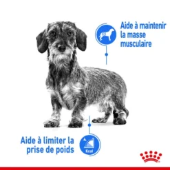 Royal Canin Canine Care Nutrition Mini Light Weight Care 1 Kg -Toutouly Soldes Magasin royal canin canine care nutrition mini light weight care5