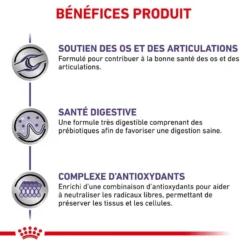 Royal Canin Veterinary Large Dog Adult 13 Kg 13 Royal Canin Veterinary Large Dog Adult 13 Kg -Toutouly Soldes Magasin royal canin veterinary large dog adult 13 kg 4