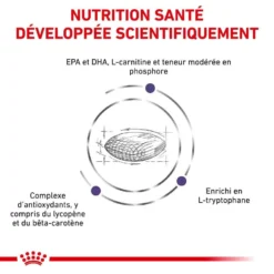 Royal Canin Veterinary Mature Large Dog 14 Kg -Toutouly Soldes Magasin royal canin veterinary mature large dog 14 kg 3