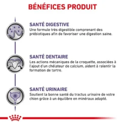 Royal Canin Veterinary Small Dog Adult 2 Kg 12 Royal Canin Veterinary Small Dog Adult 2 Kg -Toutouly Soldes Magasin royal canin veterinary small dog adult 2 kg 4