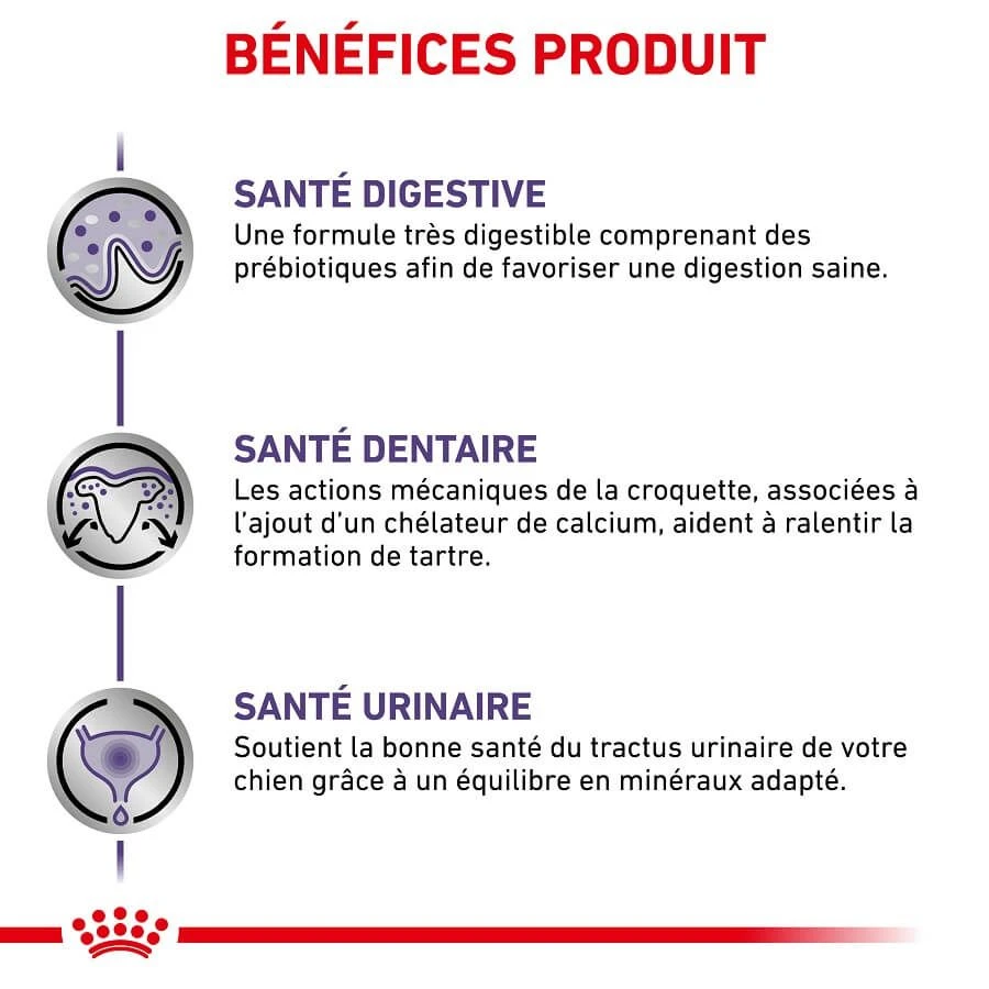 Royal Canin Veterinary Small Dog Adult 2 Kg 6 Royal Canin Veterinary Small Dog Adult 2 Kg – Image 4