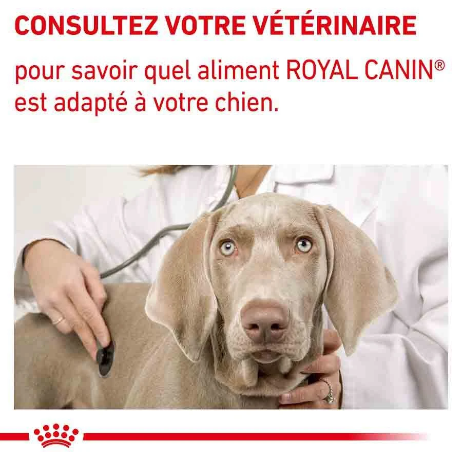 Royal Canin Veterinary Small Dog Adult 2 Kg 9 Royal Canin Veterinary Small Dog Adult 2 Kg – Image 7