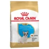 Royal Canin Bouledogue Français Puppy 3 Kg -Toutouly Soldes Magasin royal canin bouledogue franc ais junior la compagnie des animaux 1