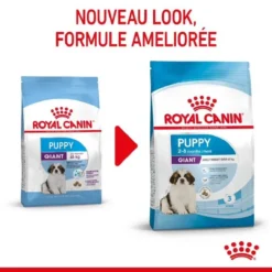 Royal Canin Giant Puppy 3,5 Kg - DLUO: 14/06/2023 -Toutouly Soldes Magasin royal canin giant puppy 1 1