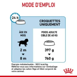 Royal Canin Giant Puppy 3,5 Kg - DLUO: 14/06/2023 -Toutouly Soldes Magasin royal canin giant puppy 7 1 1