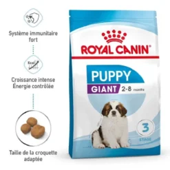 Royal Canin Giant Puppy 3,5 Kg - DLUO: 14/06/2023 -Toutouly Soldes Magasin royal canin giant puppy 9 1 1