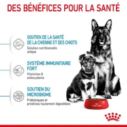 Royal Canin Maxi Starter Mother And Babydog 15 Kg -Toutouly Soldes Magasin royal canin maxi starter mother and babydog 3