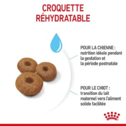Royal Canin Maxi Starter Mother And Babydog 15 Kg -Toutouly Soldes Magasin royal canin maxi starter mother and babydog 4