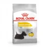 Royal Canin Canine Care Nutrition Mini Dermacomfort 3 Kg -Toutouly Soldes Magasin royal canin mini dermacomfort la compagnie des animaux