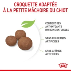 Royal Canin Vet Puppy Medium 15 Kg 14 Royal Canin Vet Puppy Medium 15 Kg -Toutouly Soldes Magasin royal canin puppy medium 1 1 1