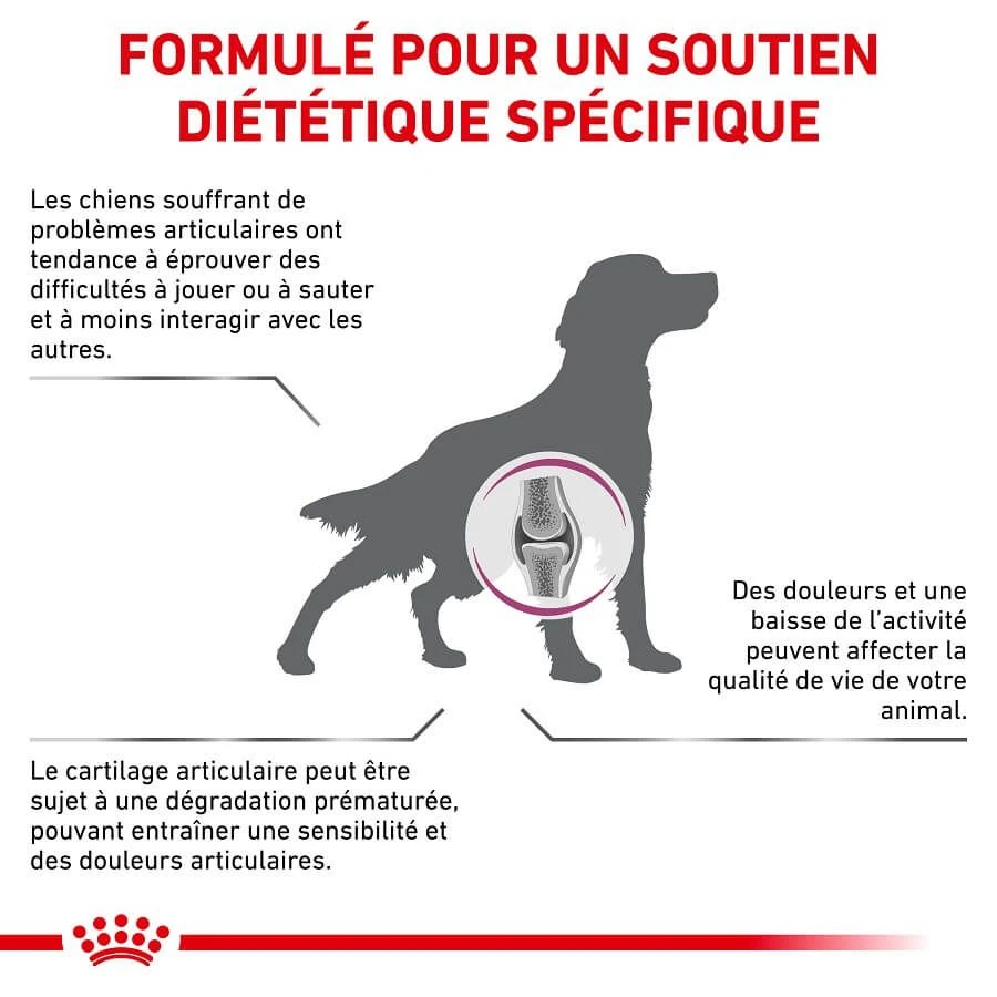 Royal Canin Vet Chien Mobility Support 12 Kg 5 Royal Canin Vet Chien Mobility Support 12 Kg – Image 3