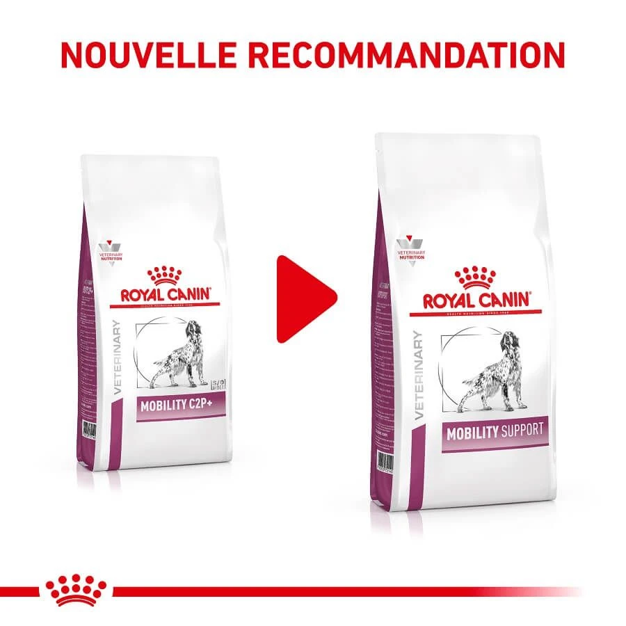 Royal Canin Vet Chien Mobility Support 12 Kg 4 Royal Canin Vet Chien Mobility Support 12 Kg – Image 2
