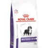 Royal Canin Vet Care Neutered Junior Large Dog 4 Kg -Toutouly Soldes Magasin royal canin veterinary neutered junior large dog