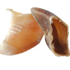 Bubimex Sabot De Veau X100