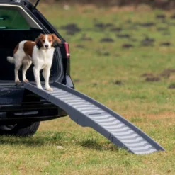 Trixie Pack Mobilité -10% : Collier YOOS S + Rampe Pliable Petwalk En 3 Parties 39 × 150 Cm 8 Trixie Pack Mobilité -10% : Collier YOOS S + Rampe Pliable Petwalk En 3 Parties 39 × 150 Cm -Toutouly Soldes Magasin trixie rampe pliable petwalk pliable en 3 parties 39 150 cm 3